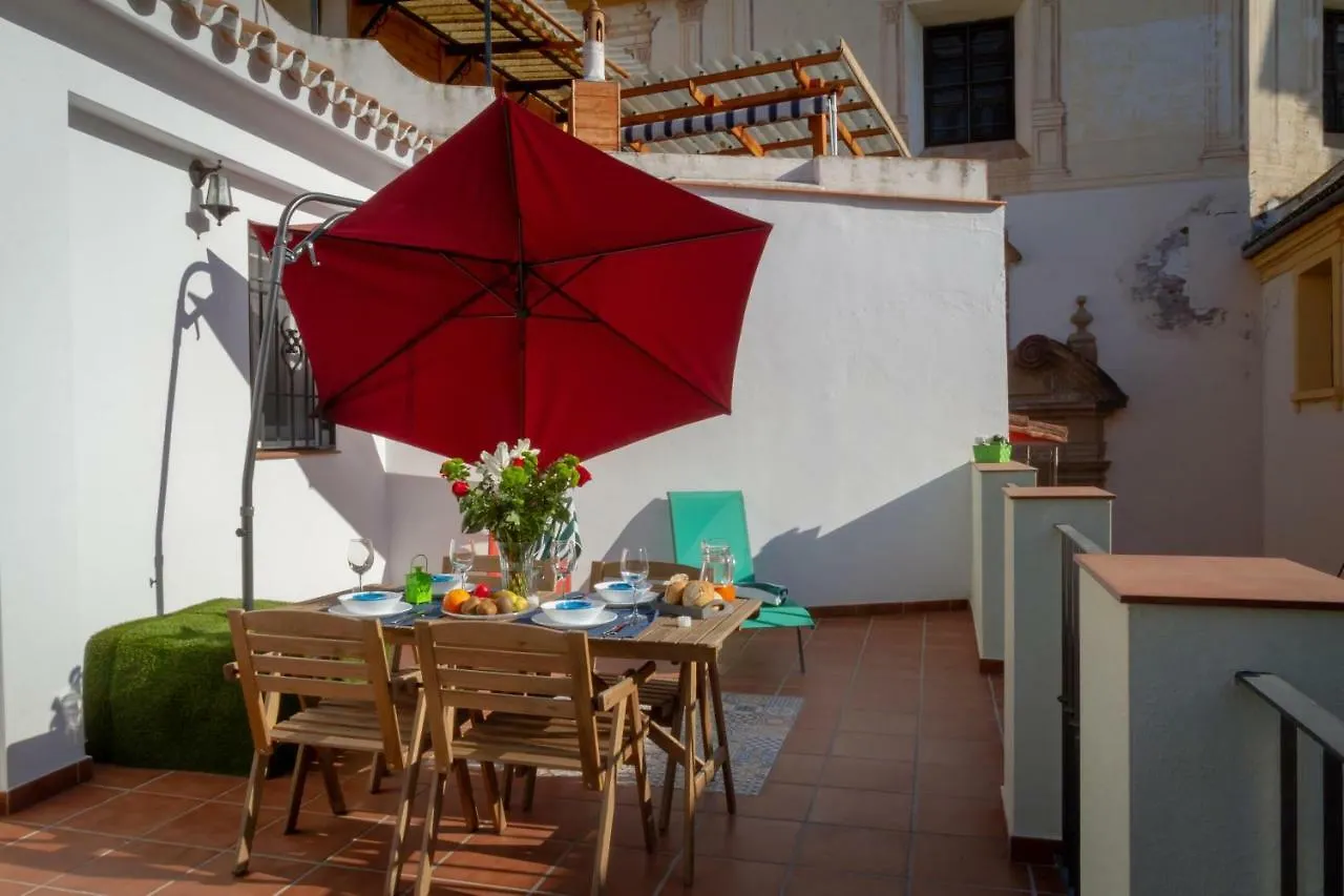 Fresh, Relax & Sun Historic Center Apartment Malaga Spain