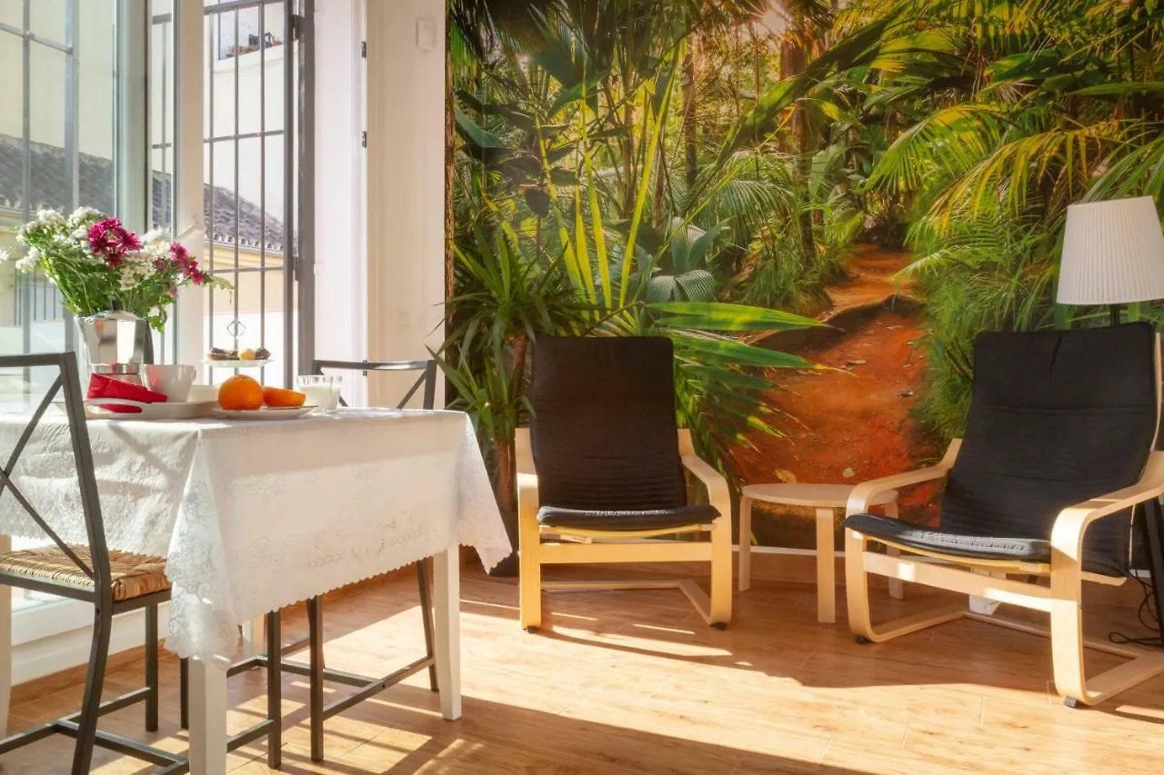 Fresh, Relax & Sun Historic Center Apartment Malaga