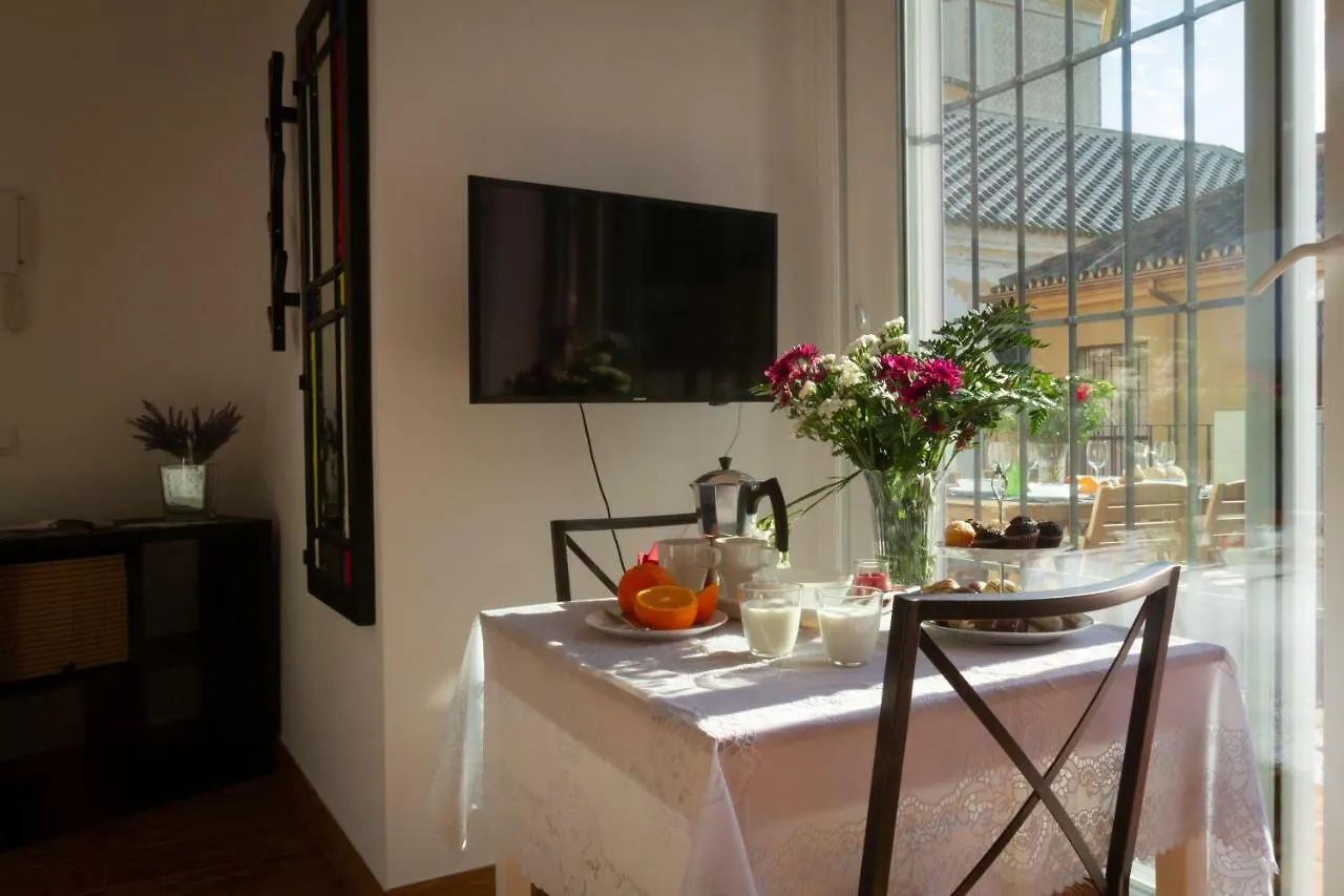 Fresh, Relax & Sun Historic Center Apartment Malaga